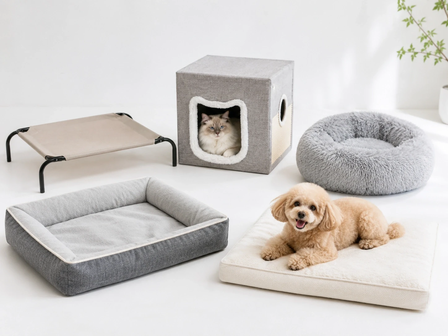 Pet Beds & Furniture representative product