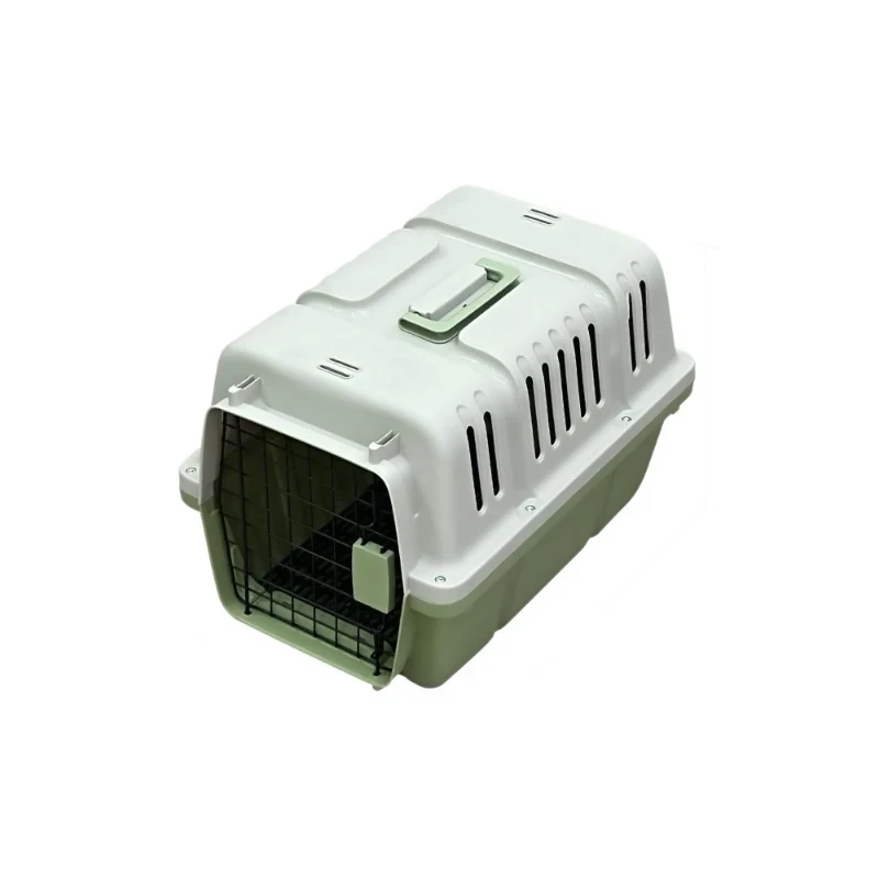 Dog Travel representative product