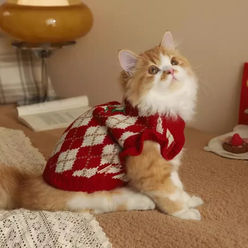 Cat Apparel representative product