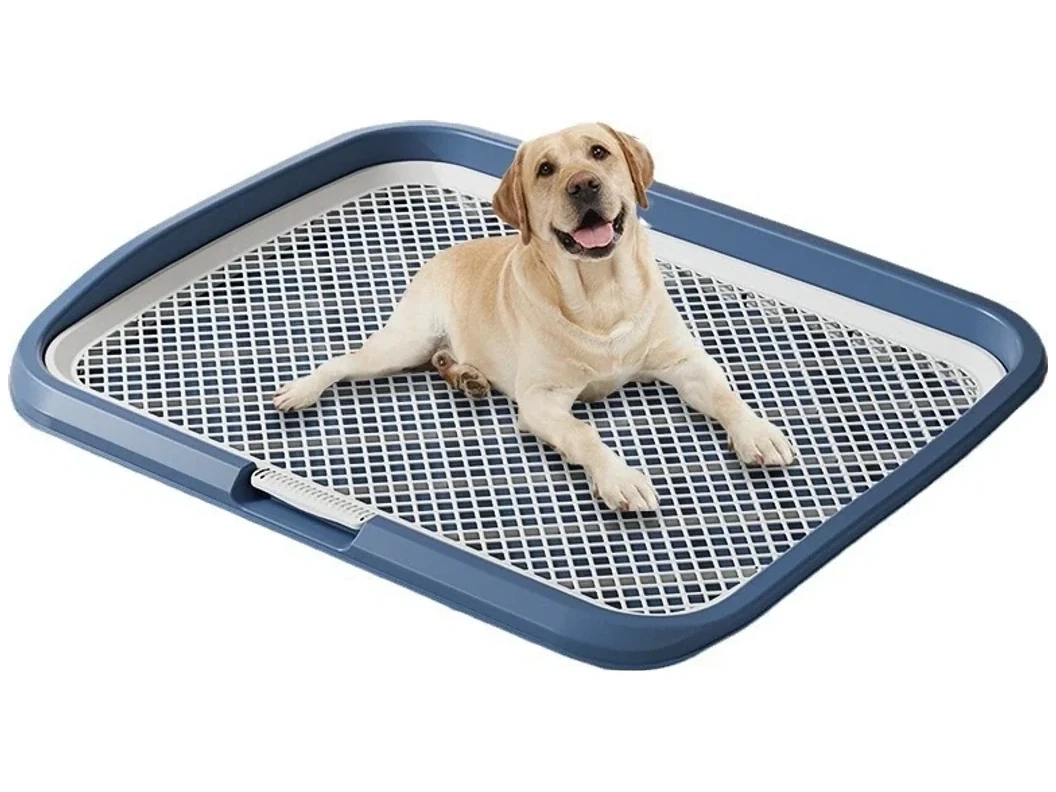 Dog Toilets & Pee Pads representative product